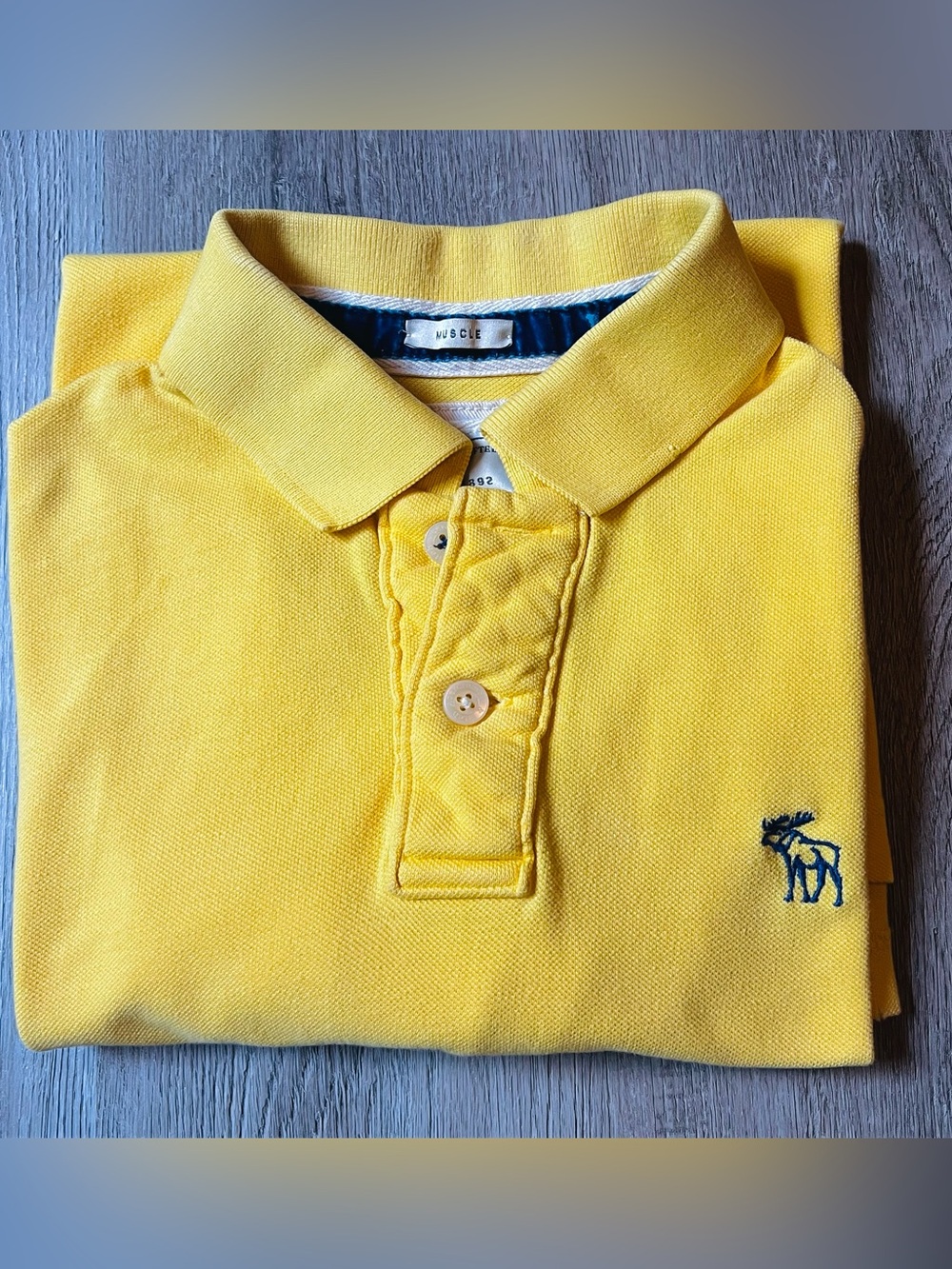 Men’s Vintage 90’s Abercrombie &Fitch “Muscle Fit” Embroidered Polo Shirt Size L